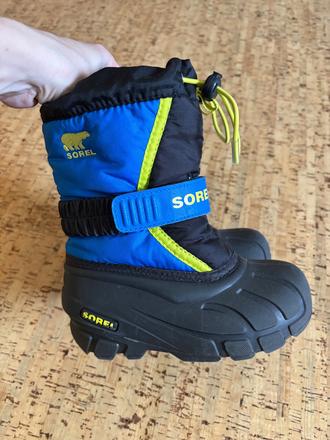 Snehule soreli, sorel,27