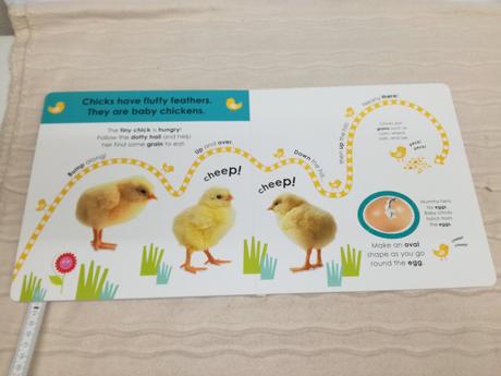 Follow the trail baby animals au19, 