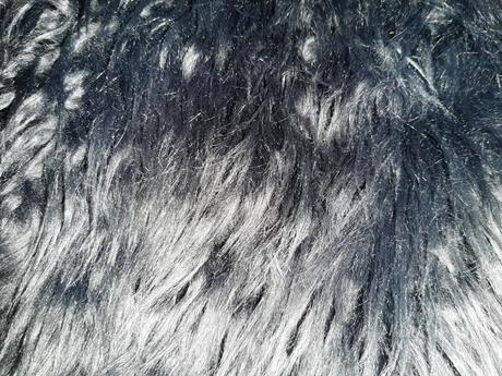 Chlpatka minoti, minoti,110