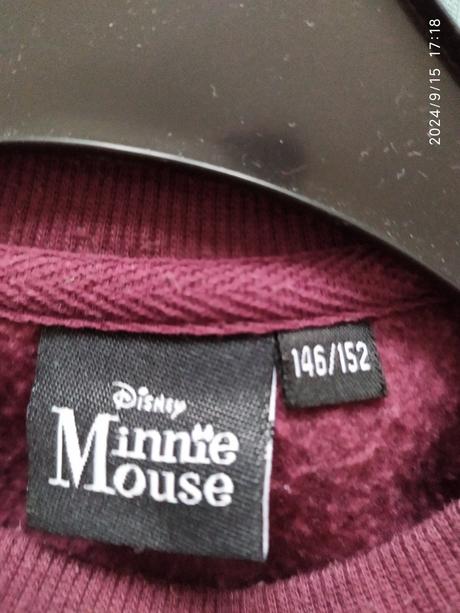 Mikina na 11 rokov, disney,152