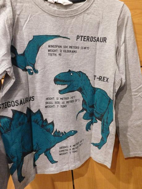 Tričká s dinosaurami, h&m,134