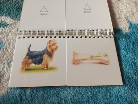 -zvieratá, kto čo má rád, knizka, 