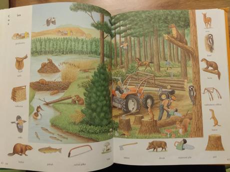 Obrázkový slovník pre deti, ktoré chcú vedieť viac, 