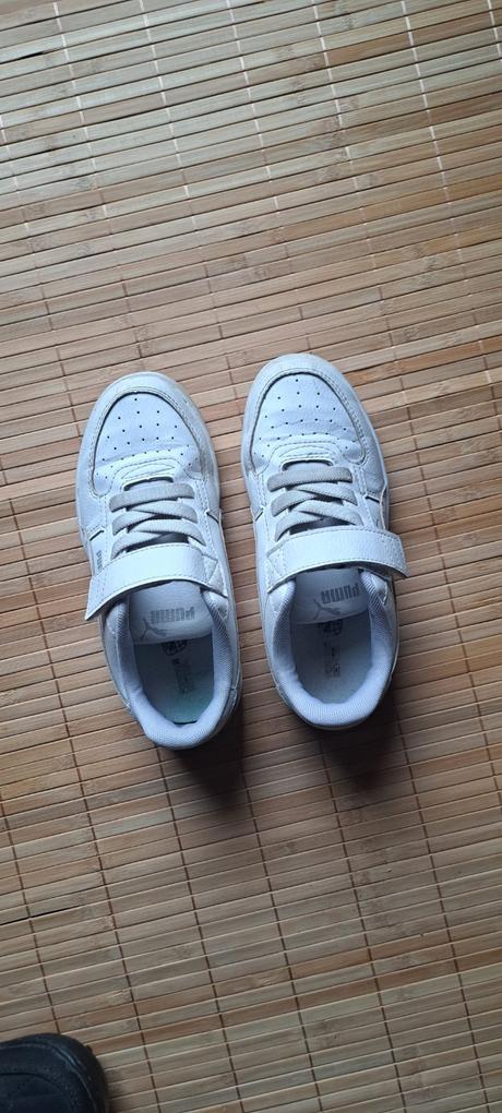 Botasky puma, puma,32