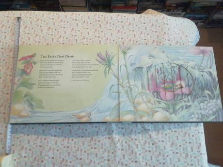 If you see a fairy ring,