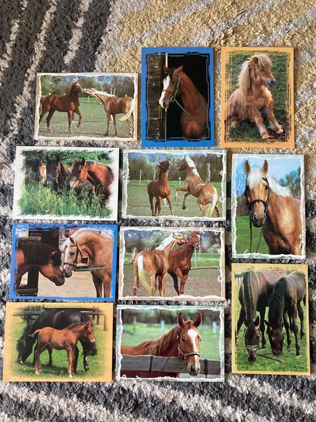 Pohľadnice koní nepopísané 11ks,