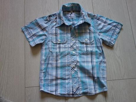 Košela palomino, palomino,110