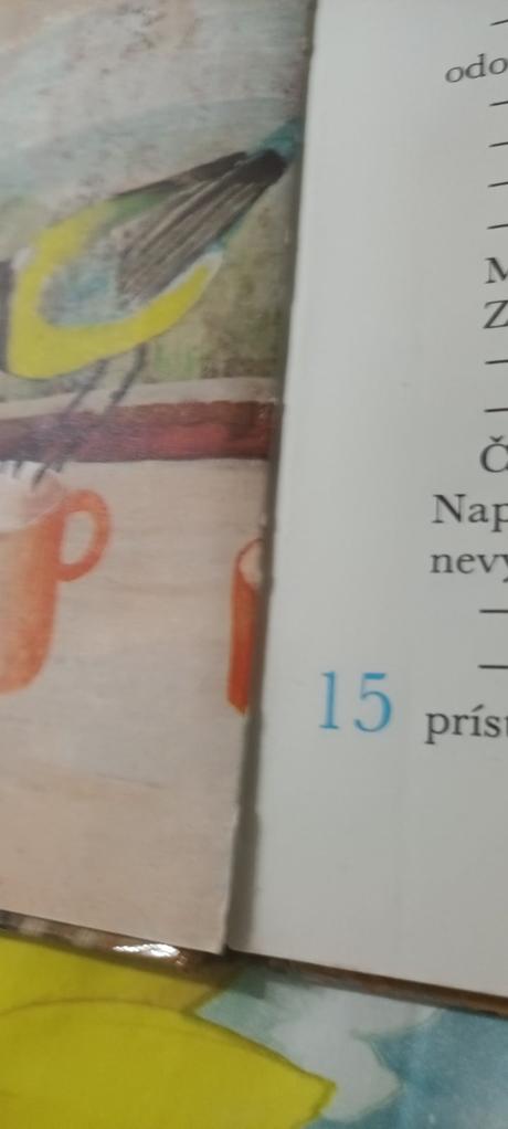 Hlupáčik s velikánskou jednotkou, 