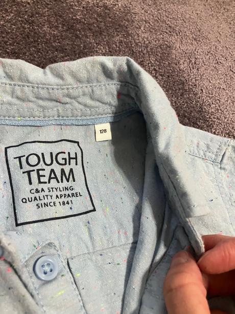 Kosela, palomino,128