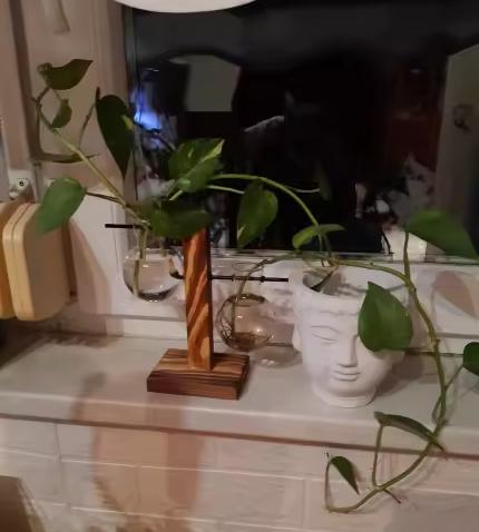 Kreatívna hydroponická váza s dreveným rámom,