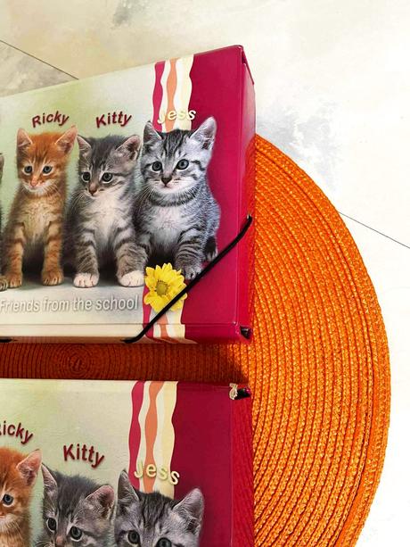 Školské dosky kitty / 3 ks, 