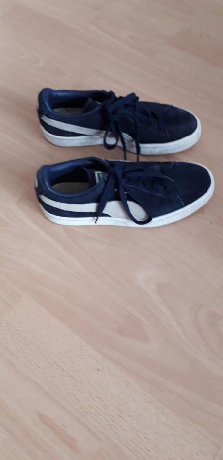 Botasky puma, puma,37