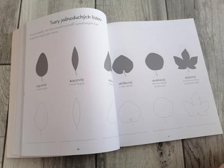 Montesori - aktivity pre deti, 