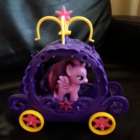 Koc s konikom ponny, 