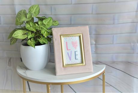 Zamatový fotorámik-ružový, 