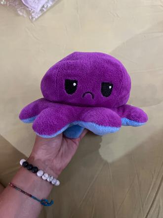 Plyšová medúza obojstranná,