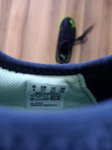 Turfy puma, puma,37