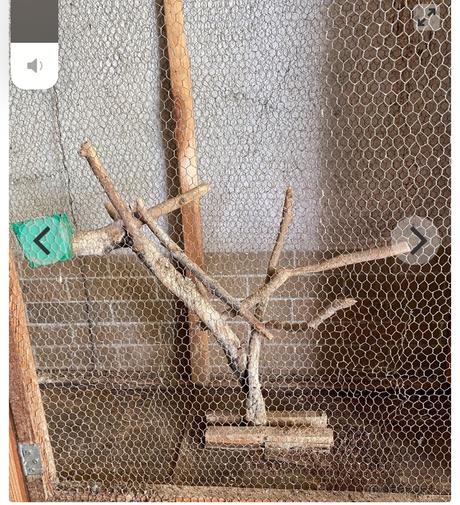 Klietka pre andulky korely a podobne, 