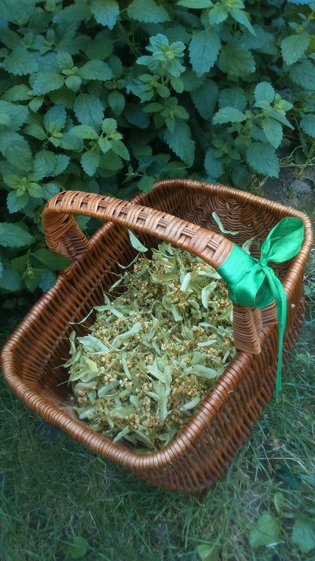 Lipa veľkolistá sušená - čaj, 