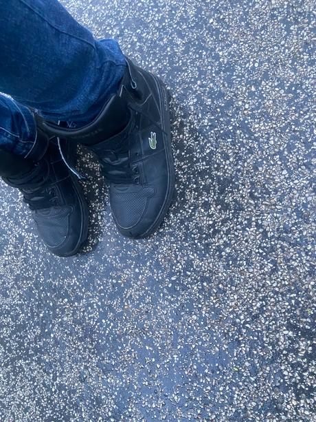 Lacoste tenisky 37, lacoste,37