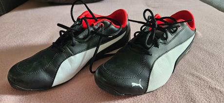 Halovky puma, puma,35