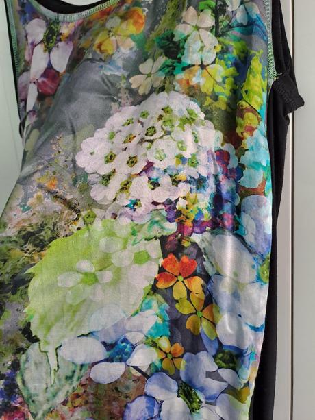 Sugarbird, sugarbird,m