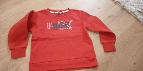 Mikina puma, puma,110