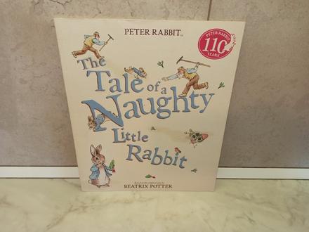 The tale of a naughty little rabbit,