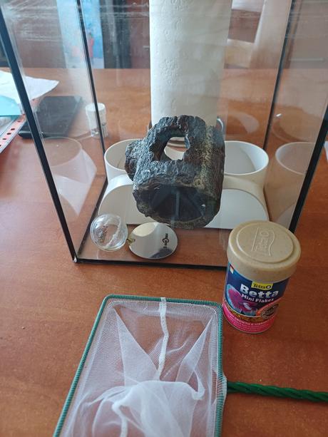 Akvarium s príslušenstvom pre bojovnicu,