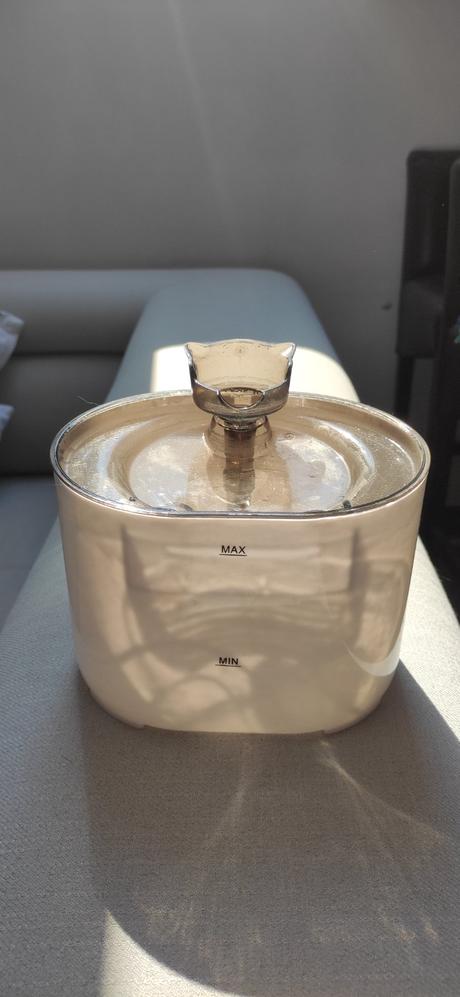 Fontána pre mačky, 