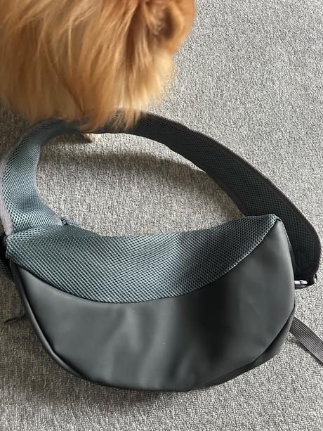 Taška pre malého psíka, 