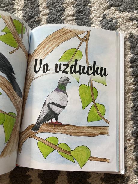 Zvieratká žalujú (1990) a kamaráti zvieratká, 