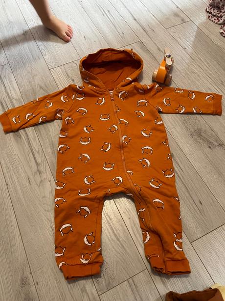 Overal líška, sinsay,86