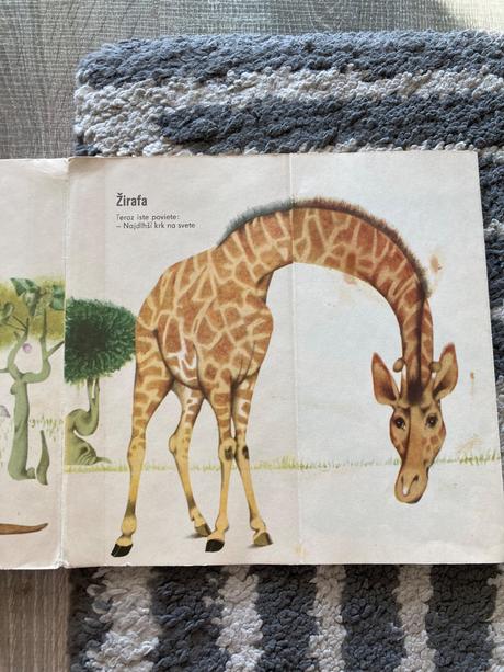 Čo sa sníva mrožovi (1969), 