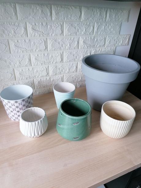 Kvetináč / kochlík na izbové rastliny, 