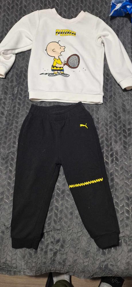 Suprava puma., puma,98