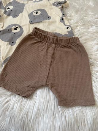 Krátke leginy zara, zara,98