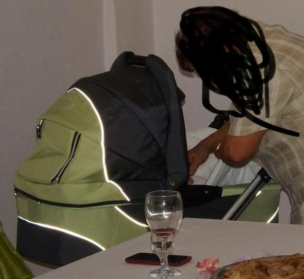 Kočiar enzo- aro team, 