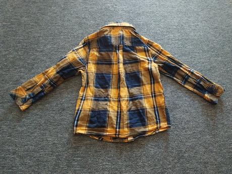 Kosela, palomino,104