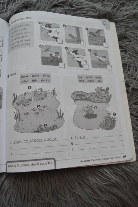Beehive level 1 activity book (sk edition) - praco,