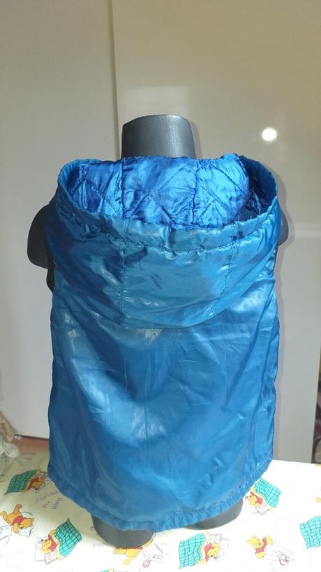 Vesta prechodna., 128