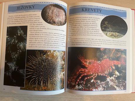 Encyklopedia zvierat, 
