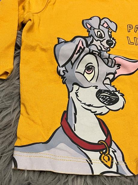 Chlapčenské tričko so psíkmi (62), disney,62