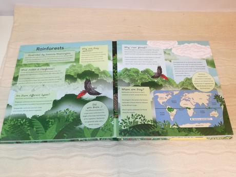 Libby walden forests in focus nau20,