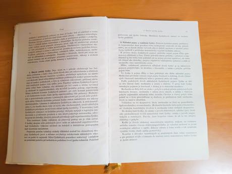 Dionýz ilkovič - fyzika i (1968), 