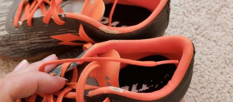 Halovky lotto, lotto,30