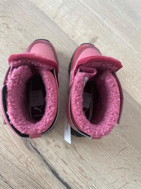 Snehule puma, puma,25