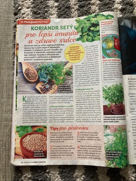 Časopis 21. století, pro vaše hobby, tina speciál, 