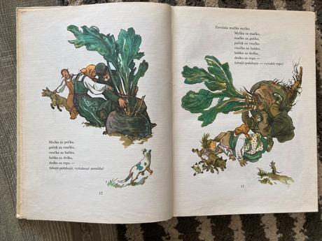 Div a zázrak (1981), 