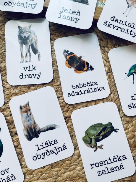 Zvieratká v slovenskom lese - komunikačné kartičky,